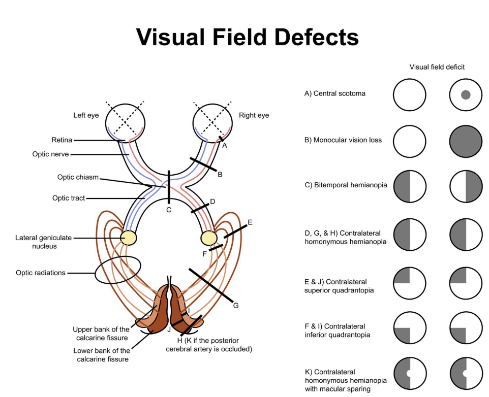 Screenshot 2026 04 03 at 2.44.08 PM